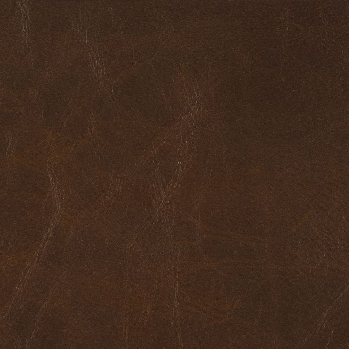 Picture of KL247-76